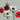 Assorted Anemones