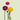 Assorted Ranunculus