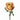 Symbol Rose