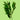 Cocculus
