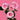 Pink Irishka Spray Rose