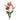 Pink Lisianthus
