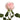Pink Porcelain Rose