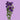 Purple Lisianthus