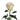 Ragazza Rose