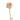Cloni Favola Ranunculus
