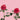 Caralinda Garden Rose