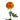 Bronze Mums