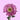Anemone Marshmallow