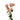 Be Amazing Spray Rose