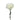 Diamante Carnation