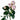 Charming Irishka Spray Rose