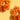 Orange Roses