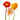 Assorted Poppies