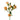 Apricot Spray Rose