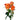 Orange Star Spray Rose