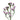 Lilac Statice
