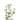 Spray Delphinium Blush Planet