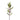 Hebes