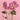 Pink Majolica Spray Rose
