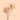 Creta Peach Carnation