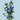 Spray Delphinium Blue Planet