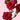 Fire Up Spray Rose