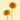 Mini Gerbera Ilios
