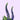 Spray Veronica Purple