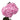 Tinted Hydrangea