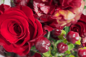 A Floral Centerpiece for the Holidays