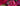 Coming in Hot Pink