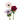 Assorted Anemones