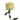 Dynamic Garden Rose