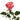 La Vie en Rose