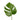 Mini Monstera Leaves