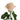 Pink Mondial Rose