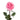 Famous Rose
