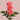 Pink Xpression Garden Rose