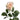 Suspiro Rose