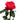 Boomerang Garden Rose