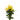Feverfew Daisy Matricaria Snowball Yellow