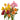 Assorted Alstroemeria