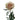 Teddys Rose