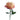 Country Candy Garden Rose