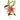 Zelmira Lilies