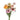 Pastello Striato Assorted Ranunculus