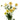 Ranunculus Butterfly Caramel