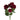 Rubicon Red Spray Rose