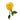 Cubana Rose